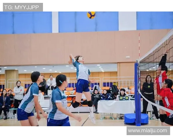 排球纪实：记录西安排球队的逆袭之旅