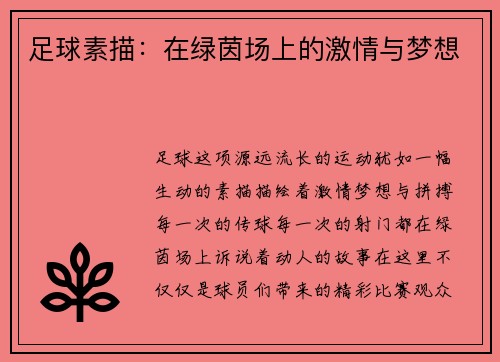 足球素描：在绿茵场上的激情与梦想