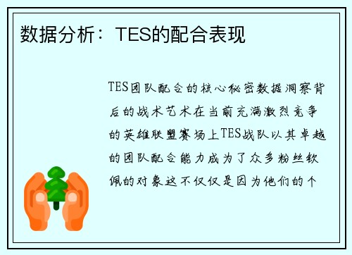 数据分析：TES的配合表现
